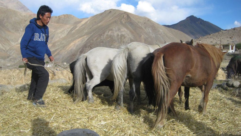 Young Farmers: Ladakh’s future in safe hands