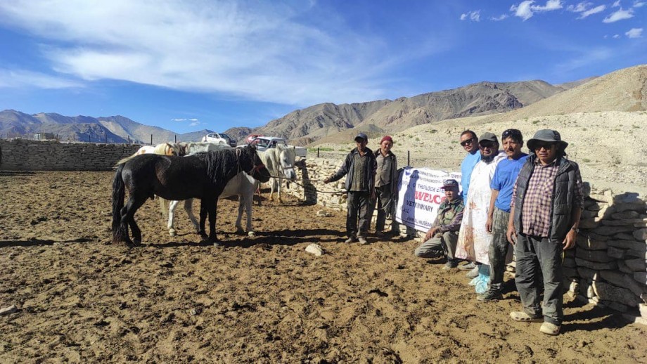 Mobile veterinary healthcare/outreach program in Nyoma sub-division