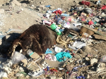 Choglamsar area near Devachan turns into another 'bomb guard'