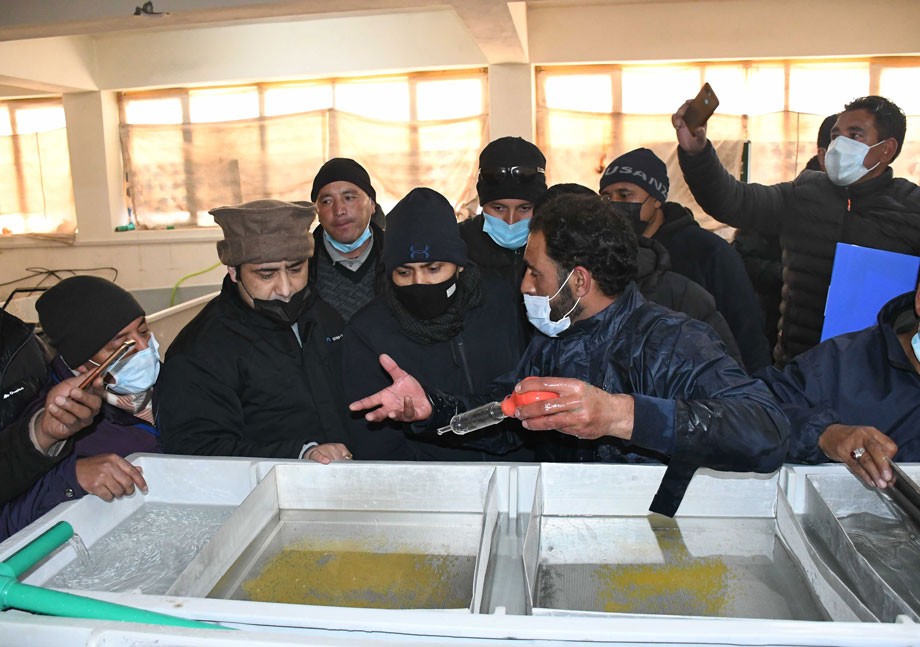 Live demonstration on transfer of rainbow trout fish seed-producing technology held