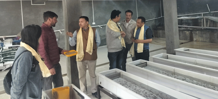 Director Dr. Mohd Iqbal visits Drass subdivision for fisheries inspection