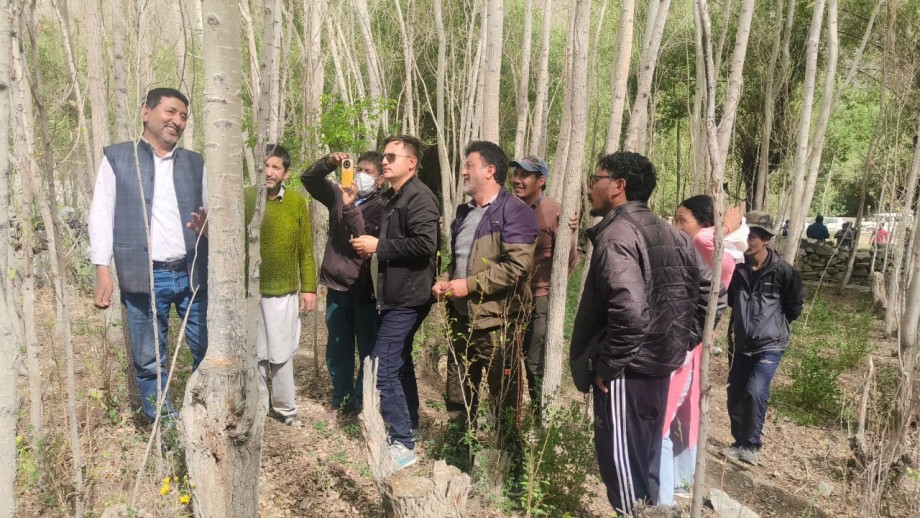 Awareness camp on Pheosia Albivertex management in poplar trees held