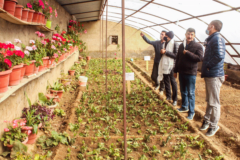 Secretary Agriculture visits greenhouse units in Leh
